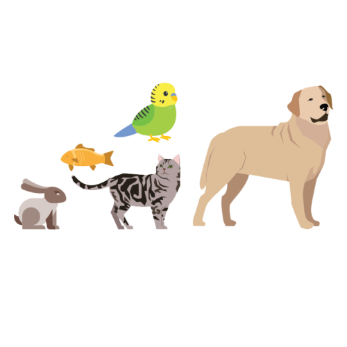 Dog, cat, bird, fish, and rabbit together icon.
