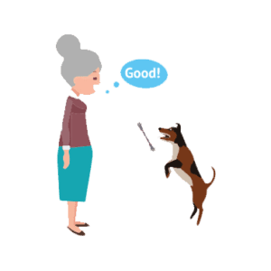 Elderly lady training dog icon.