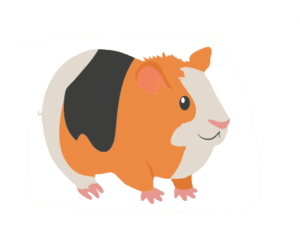 Guinea pig icon.