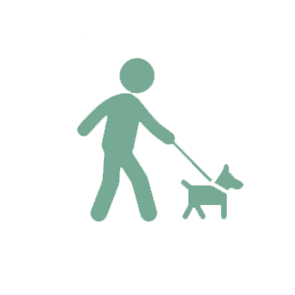 Person walking the dog green color icon.