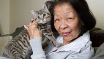 Asian senior lady holding her cat in her arms.