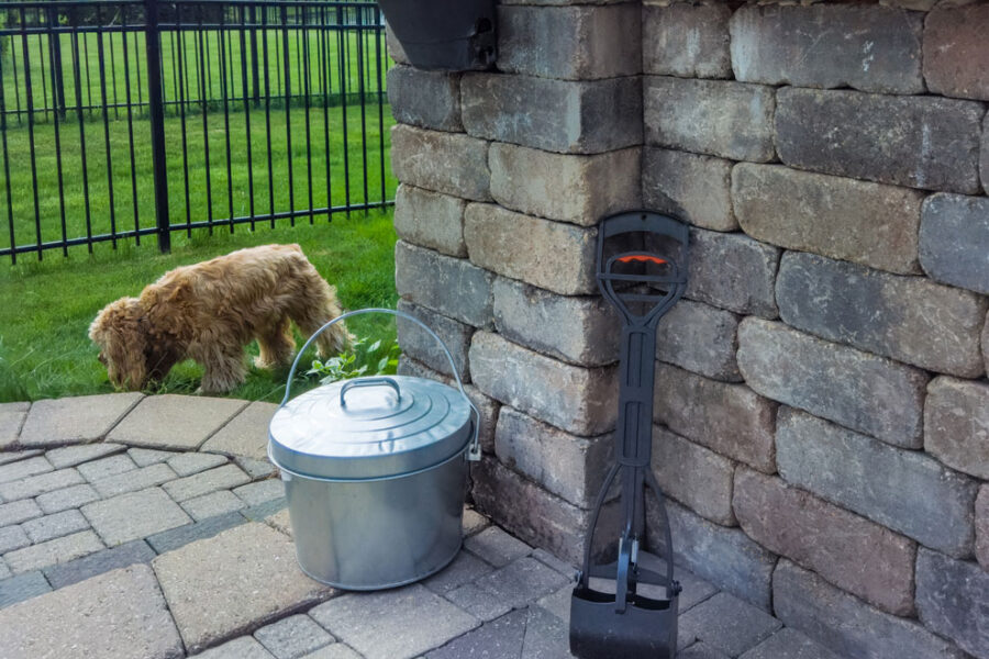 A metal bucket with dog pooper scooper with little dog in the background.