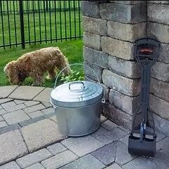 Dog poop pail and shovel with dog walking in the background.