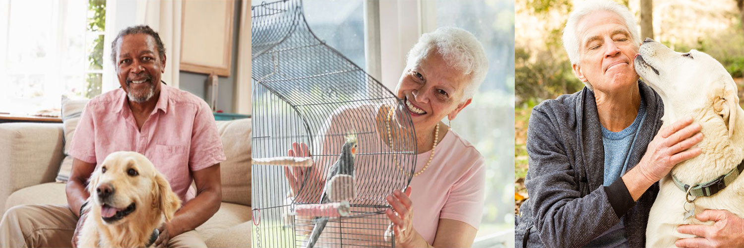 Collage of pictures of senior men and woman with their pets.