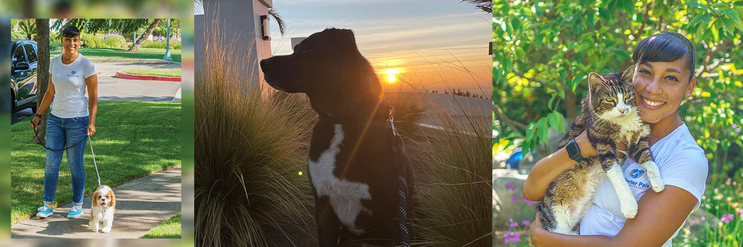 Carmel Mims, two pictures of her walking a dog and holding cat. And one picture of a black dog with the sundown in the background.