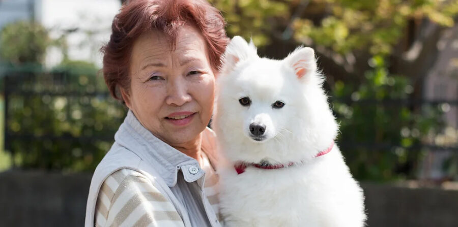 Asian elder lady hold a little white dog looking into the camera.